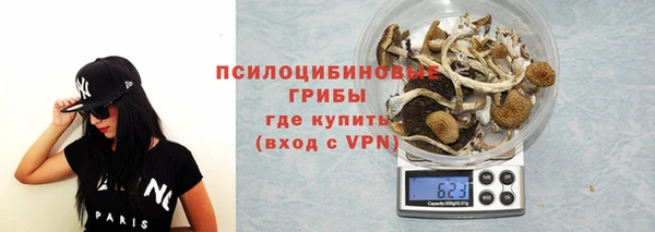 трава Армянск