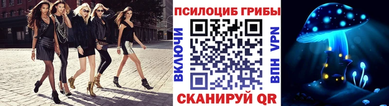 Псилоцибиновые грибы Psilocybe  Сычёвка 