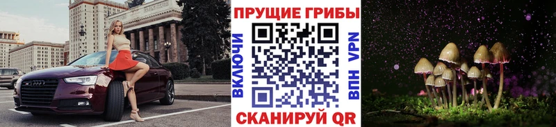 Галлюциногенные грибы мицелий Сычёвка